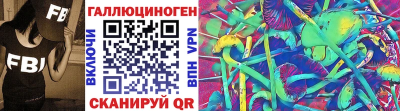 где найти даркнет Telegram Галлюциногенные грибы MAGIC MUSHROOMS Новотитаровская